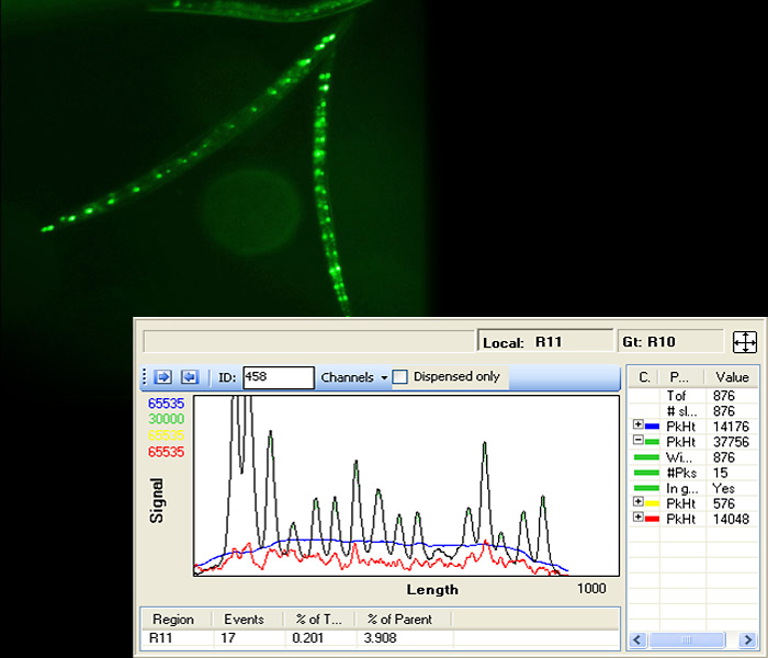 Profiler Software