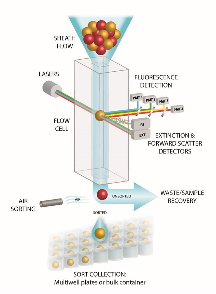 COPAS Sorting Diagram