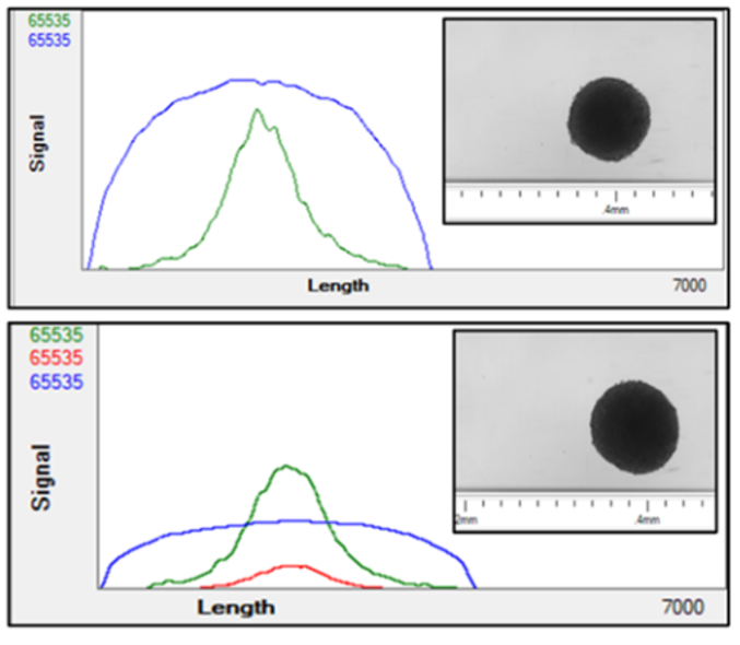 Co-cultured Spheroids – Profiler Analysis