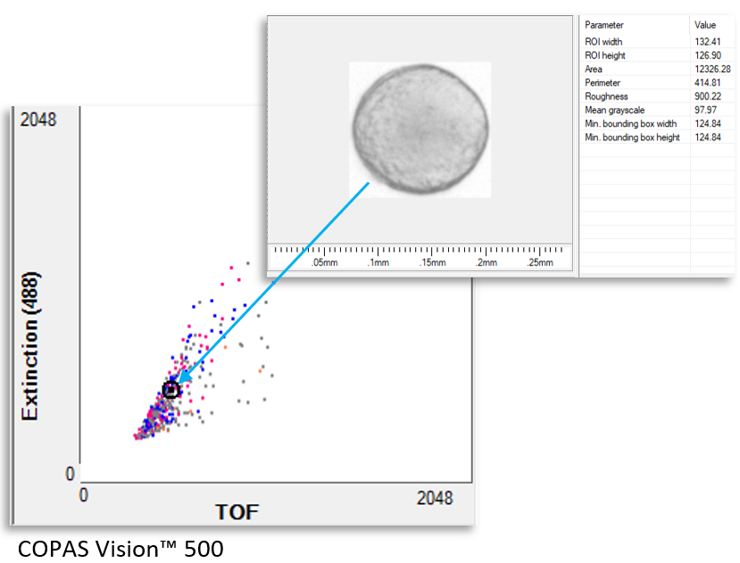 Large Particle Imaging Flow Cytometry for 3D Biological Models