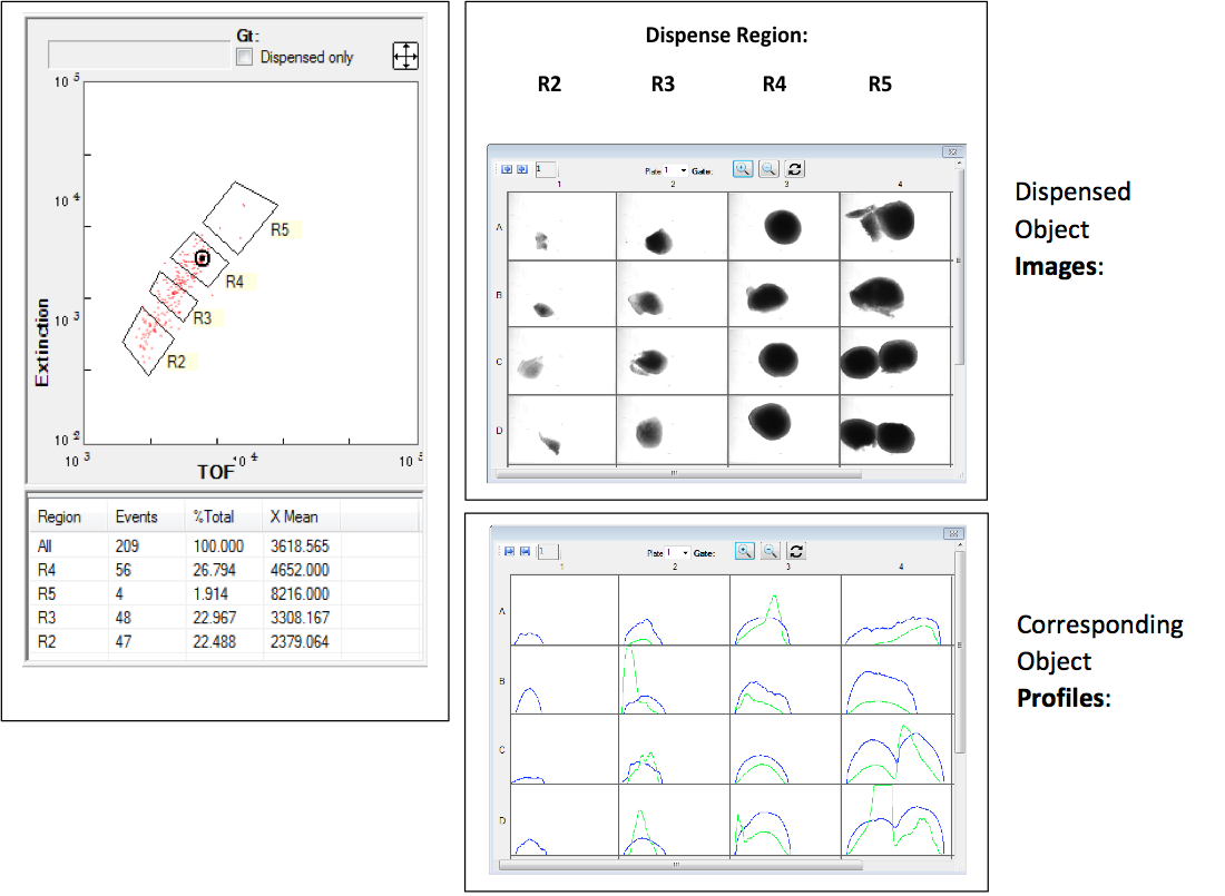 Dispensed Object Images and Corresponding Object Profiles